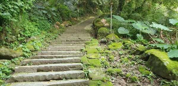 獅山古道2003804