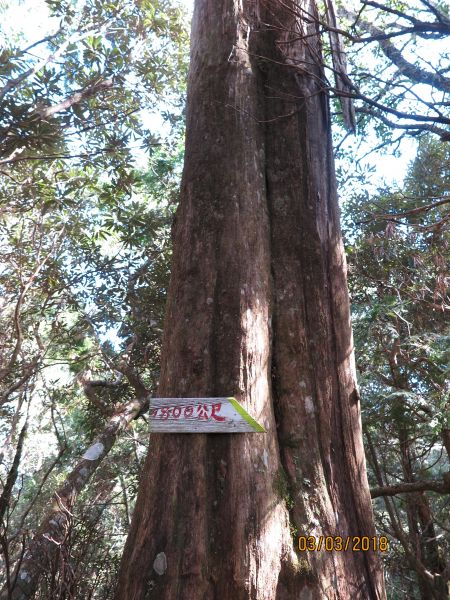 20180303 塔曼山294686