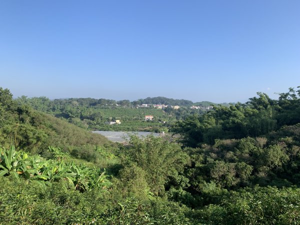 20251115台南南庄山2938059