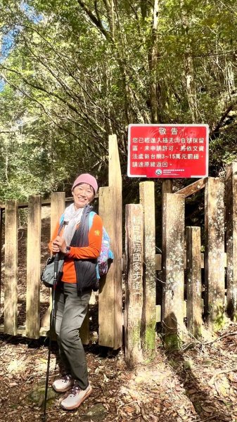 🌈228連假北橫賞櫻客製化四日遊Day2 FB：熊熊趴爬走🌈2724603