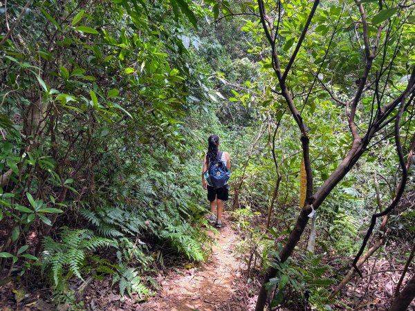 三段崎古道2835518