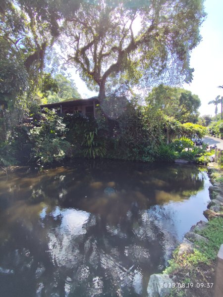 天母水管路步道→天母古道→磺溪→白雲瀑布【發現陽明山、臺北健走趣】2864653