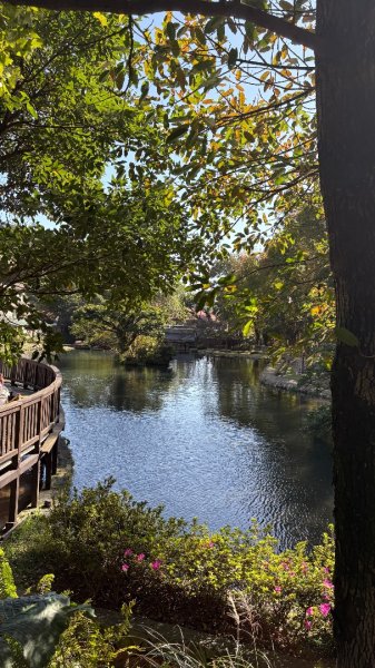 漫遊陽明山2951914