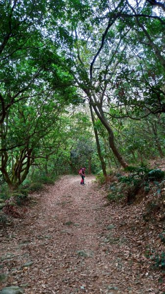 小百岳【尾寮山】905219