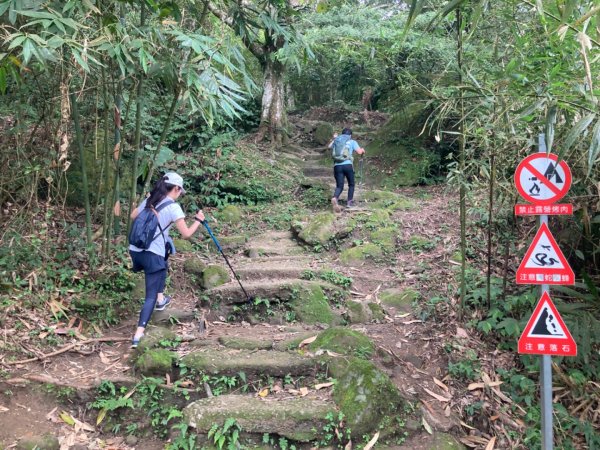 五指山登山步道2293185