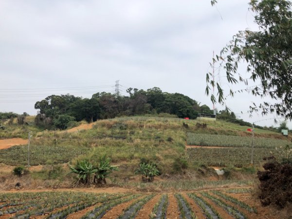 嘉義民雄松子腳山一等點 南松子腳山三等點1216160