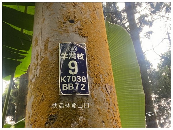 樟空倫山、大崙頭山、貓冬望山、民眾坪山 連走2839032