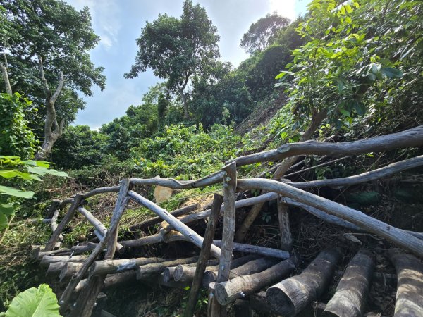 台中大坑四號登山步道（毀損）2563678