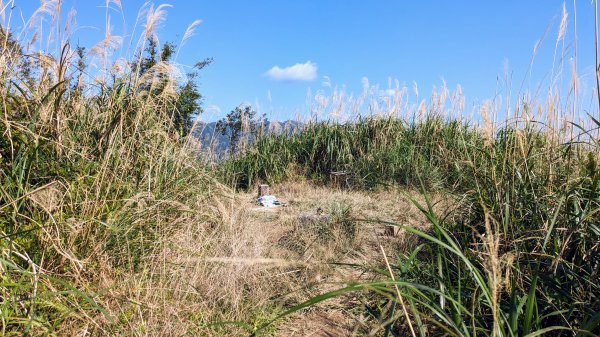 清修宮,鵲子山,跑馬古道2394406