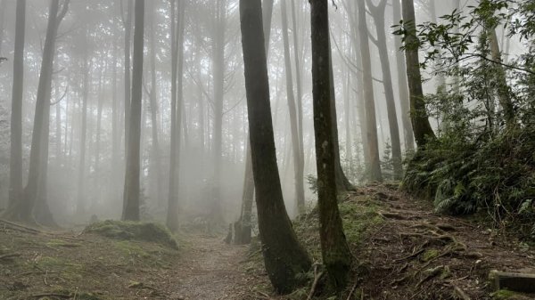 20240825小百岳稍來山封面