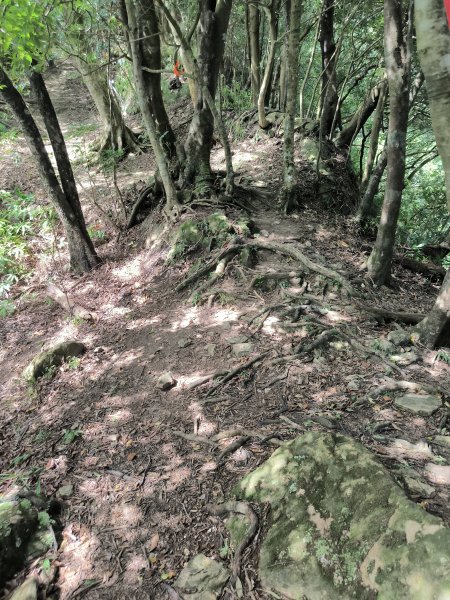 20251010微笑山線：【五分山系】菁桐煤礦段2910199