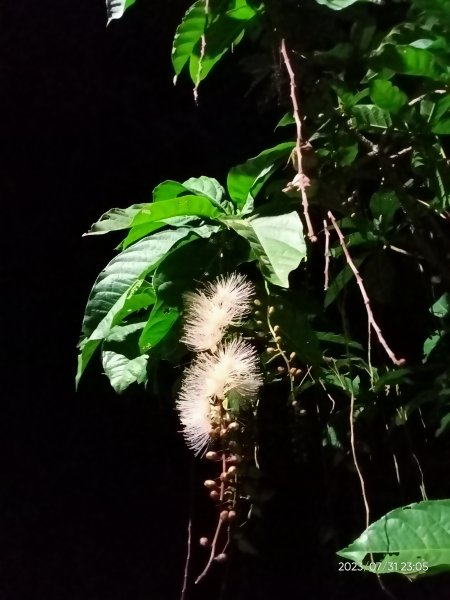 內湖大港墘公園、碧湖公園、內湖路一段；基隆廟口夜市、海洋廣場【走路趣尋寶、健康大穀東】2236868