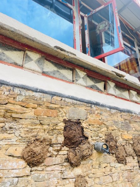 川藏深度之旅33天/A行程2901292