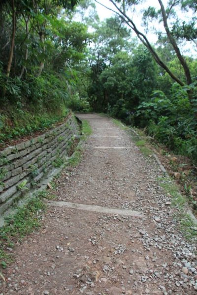 1031007硬漢嶺步道3098135