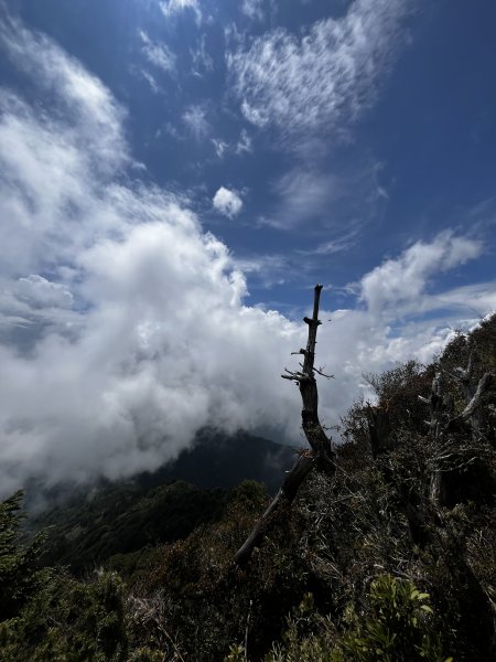 115.05.08庫哈諾辛山3052246