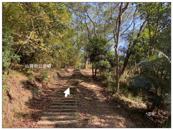 中央尖、山背伯公步道O型路線2708772