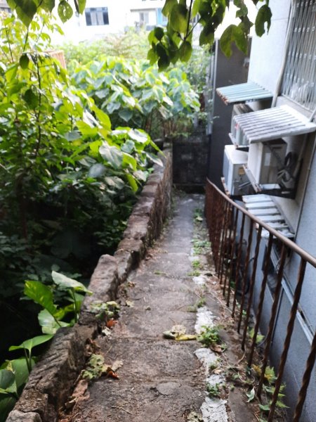 20230304 奇岩山，唭哩岸山，軍艦岩，磺溪山，丹鳳山2054368