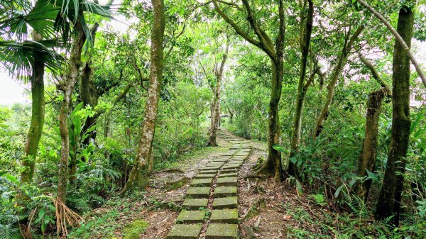 南港四小山。韓美磋2766488