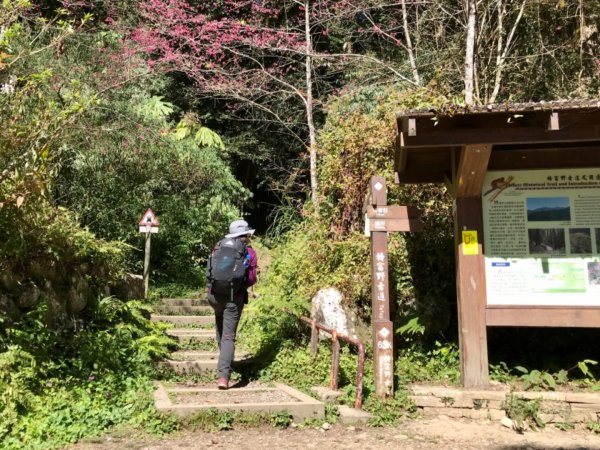 自忠上東水山連走特富野古道1244527