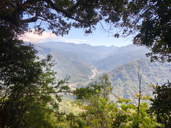 阿冷山 谷關第八雄2877400