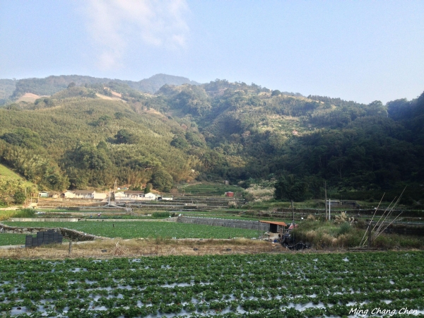 【山岳之美】~馬那邦山5762