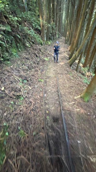 悠遊林鐵遺跡2878123