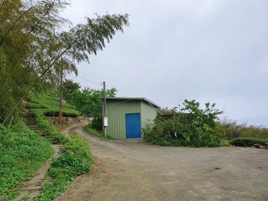 1090405後棟山連走大二尖山908331