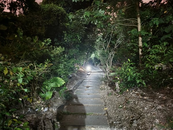 [漫遊縱谷 愛在花東-10/10] 2025_1012 美崙山步道2913588