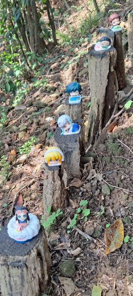 基隆山步道1274951