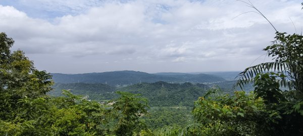 關西赤柯山+赤柯山南峰+東獅頭山+西獅頭山 O型-2026/08/113102694