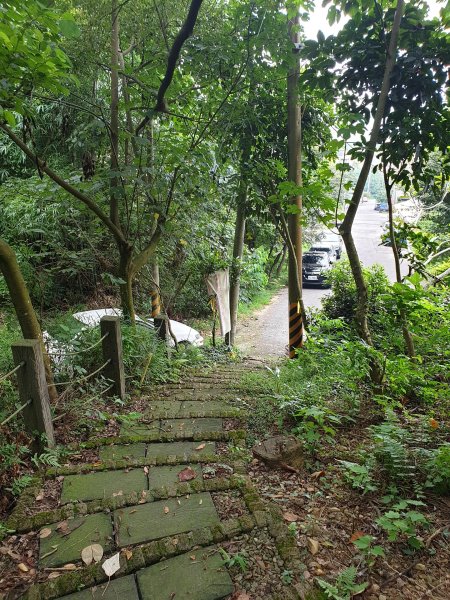 20190901坐火車免接駁(三員縱走)670126