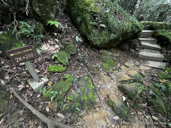 連走微笑山線第一段＋第二段（大棟山系）2853034