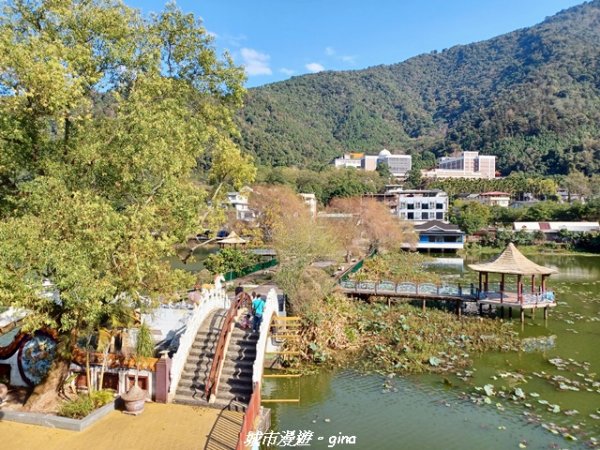 【南投埔里】天旨宮鰲頭山步道x虎頭山鯉魚潭步道x虎頭山觀景平台連走2988498