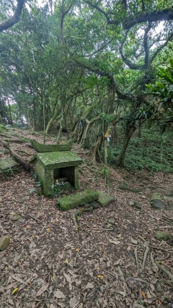 113.06.16白沙丘山-舊草嶺隧道-隆嶺古道之旅2530549