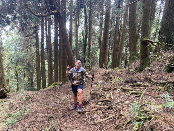 兒玉山.東水山.特富野古道【雨季來與不來的矛盾】2506109