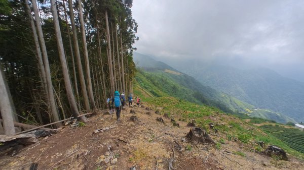 民都有山+西高橋山1524304