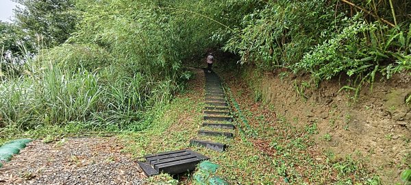 2025/04/25_苗栗鐘樓古道2771176