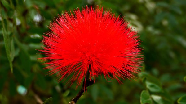 大安公園,台大校園3012116