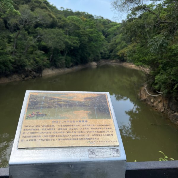 臺北大縱走第四段：風櫃口到大湖公園捷運站2155436