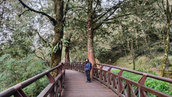 神阿縱走~台灣難抵極~大塔山2971462