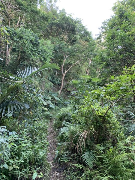 20250130屏東北湖呂山-古華山2705896