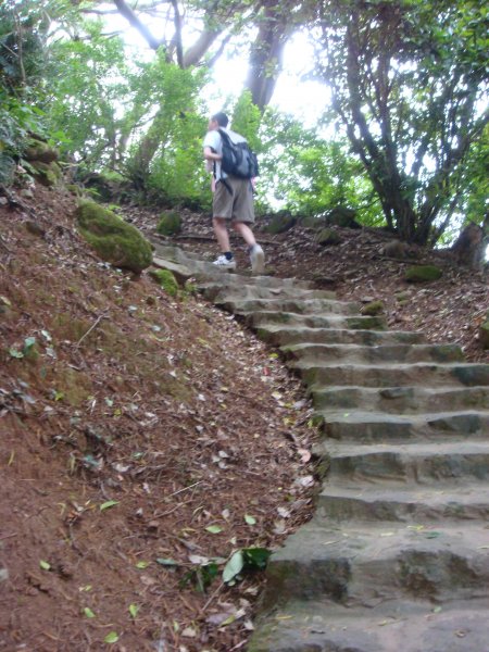 關渡親山步道1792926