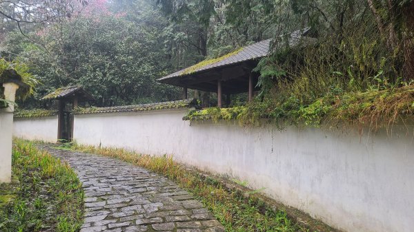 2025-0221 明池步道2718237