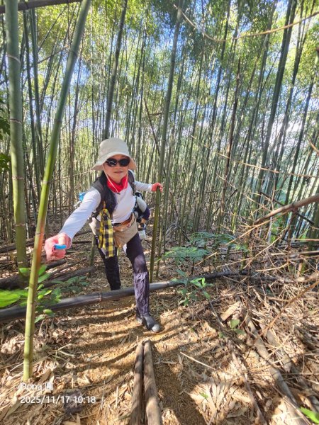20251117新竹內灣三山四峰(內灣山.麥樹仁山南峰.麥樹仁山.白石湖山)2939891