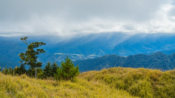 雪山東峰壯麗的山景&動植物1521808