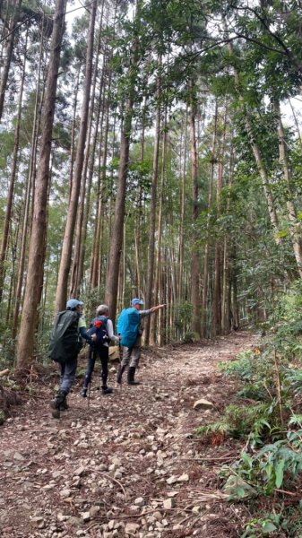 鳶嘴西稜上鳶嘴山-三崠山連走2652139