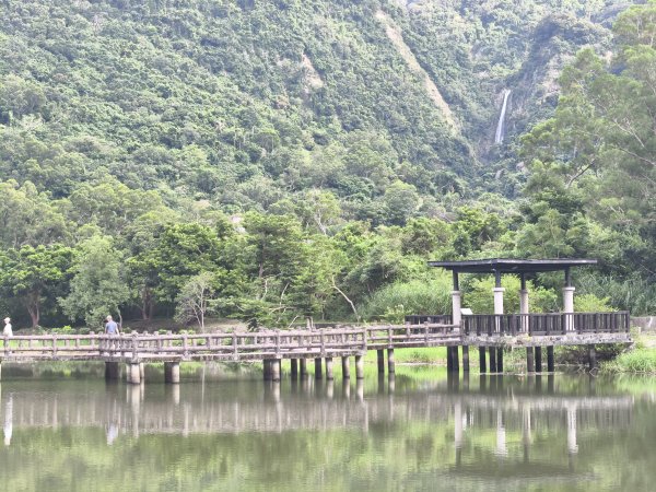 [漫遊縱谷 愛在花東-04/10] 2025_1011 羅山村竹林步道2913237