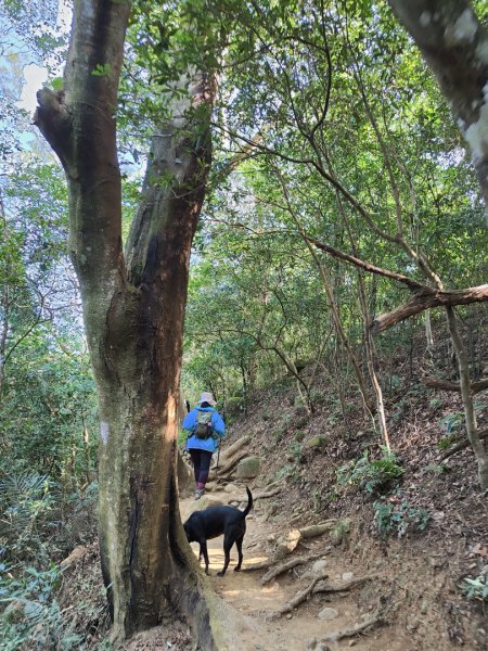 2024.01.02 飛鳳山2832153