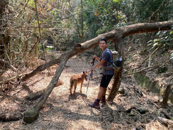 月光山.雙峰山.克孝峰【進可攻 退可守的完美路線】2740709