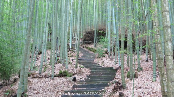 《雲林》望好望角｜石壁山嘉南雲峰步道(中側登山口）202506072805463